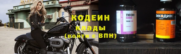 молекула духа Гусиноозёрск