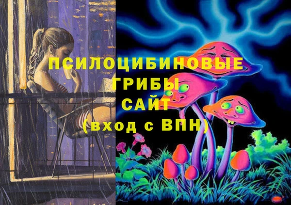 молекула духа Гусиноозёрск