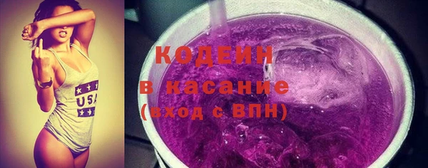 молекула духа Гусиноозёрск