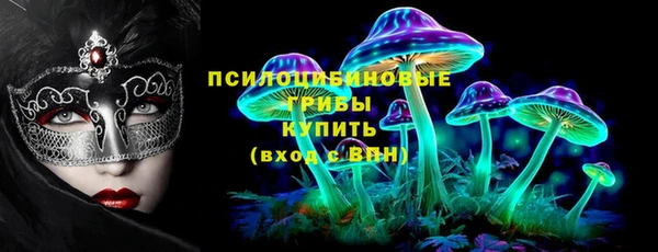 молекула духа Гусиноозёрск